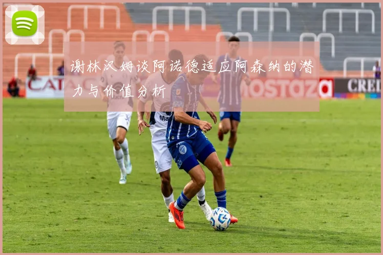 谢林汉姆谈阿诺德适应阿森纳的潜力与价值分析